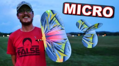 This is Why You Need an Indoor/Outdoor Micro Flyer - E-Flite UMX Night Vapor RC Plane - TheRcSaylors