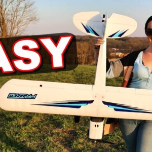 EASY TO FLY RC Plane for Beginners!!!! - Dynam Primo - TheRcSaylors