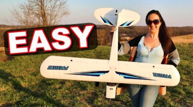 EASY TO FLY RC Plane for Beginners!!!! - Dynam Primo - TheRcSaylors