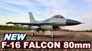 NEW RC JET WARBIRD!!! E-flite F-16 Falcon 80mm EDF Smart Jet - TheRcSaylors
