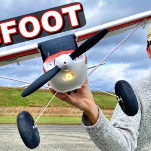 YOU WON'T BELIEVE THE PRICE FOR THIS RC PLANE! - Arrows Bigfoot RTF - TheRcSaylors