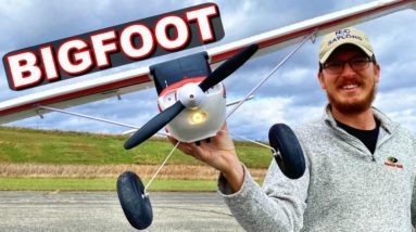 YOU WON'T BELIEVE THE PRICE FOR THIS RC PLANE! - Arrows Bigfoot RTF - TheRcSaylors