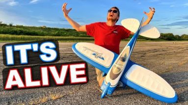 WORST CRASH ever REPAIRED!! WILL IT FLY?? - E-Flite Commander