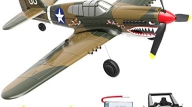 FLYCOLOR Volantexrc P40 Fighter RC Airplane 2.4Ghz 4CH Remote Control Aircraft Ready to Fly 761-13 Radio Controlled Plane for Beginners with Xpilot Stabilization System RTF