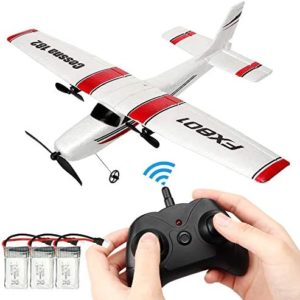 BEHORSE Remote Control Airplane,RC Plane Ready to Fly 2.4Ghz 2 Channel EPP RC Aircraft for Kids Boys Beginner