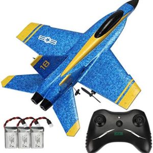 BEHORSE RC Plane Remote Control Airplane Ready to Fly, 2.4GHZ 2 Channel RTF RC Glider Easy to Fly for Kids Beginners and Adults (3 Batteries)