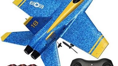 BEHORSE RC Plane Remote Control Airplane Ready to Fly, 2.4GHZ 2 Channel RTF RC Glider Easy to Fly for Kids Beginners and Adults (3 Batteries)