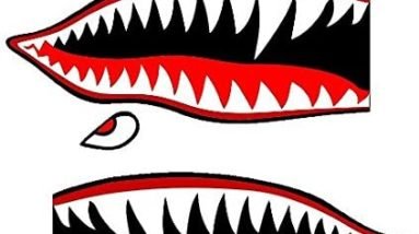 Set of 2 Remote Control (RC15) 3" Flying Tigars Shark Teeth RC Airplane Sticker Decal