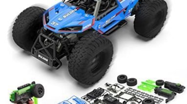 rc car kit for adults