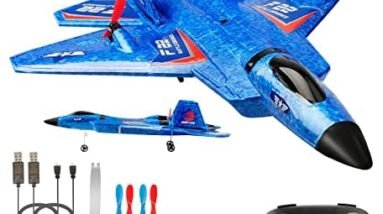 RC Plane, F22 RC Airplane Fighter Ready to Fly, 2.4Ghz 2 Channel Remote Control Plane, RC Airplanes Toy for Boys Girls Kids Beginners