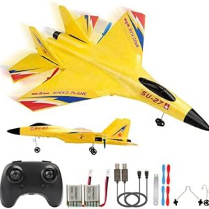 RoofWorld RC Plane Remote Control Glider Airplanes 2.4 GHZ 2 Channels, Easy to Fly RC Fighter, Remote Control Aircraft with Automatic Balance Gyro for Adult Kids Beginner