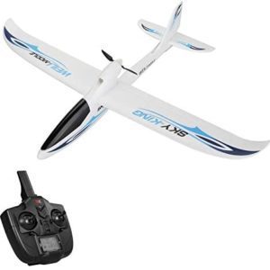 GoolRC WLtoys F959S RC Airplane, Sky-King 2.4G 3CH 6-Axis Gyro Remote Control Aircraft, Fixed-Wing Plane Glider for Adults or Kids, RTF Ready to Fly (Blue)