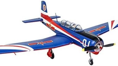 QIYHBVR 1200mm (47.2") Wingspan Electric RC Plane Fixed Wing RC Plane China Air Force Training Aircraft Stunt Show Aircraft with Flaps and LED Lights for Beginners