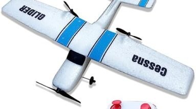 DAILIOT Remote Control Airplane,RC Plane RTF 2.4GHz 2 Channel Ready to Fly Model Gliding Plane Easy to Fly for Kids Beginner