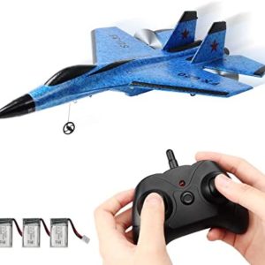 BEHORSE RC Plane 2 Channel Remote Control Airplane Ready to Fly, 2.4GHz Easy to Control RC Glider Plane for Beginners