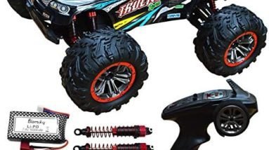 rc car adult 1/10 high speed