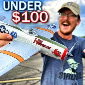 WORLD'S EASIEST to FLY under $100 Mini RC Warbird Airplane!