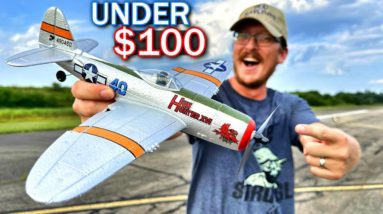 WORLD'S EASIEST to FLY under $100 Mini RC Warbird Airplane!