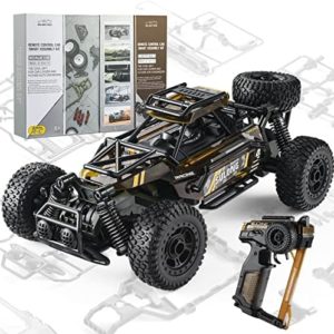 rc car building kit for adults heavy duty