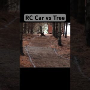Fast RC Car vs Tree - Who will win?