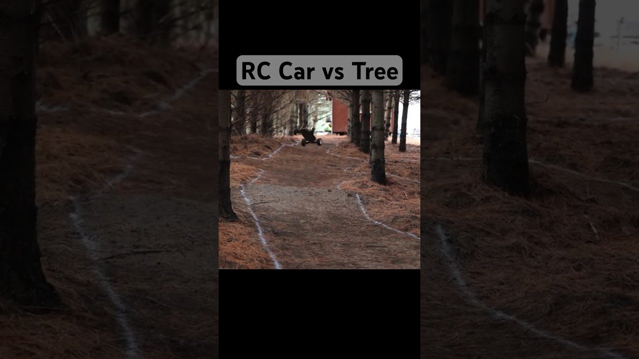 Fast RC Car Vs Tree - Who Will Win?