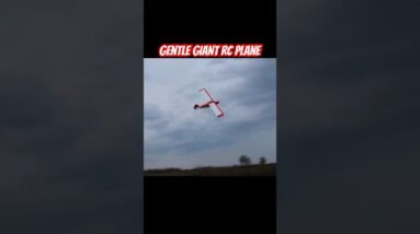 Maiden Flight of this Gentle Giant RC Plane #rcplane #rc #rcairplane