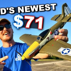 World's Newest BEST Mini RC Warbird Airplane!! P51 Mustang