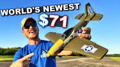 World's Newest BEST Mini RC Warbird Airplane!! P51 Mustang