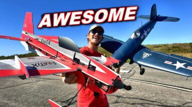 You Won't BELIEVE the PRICE for these 2 RC Planes!!!