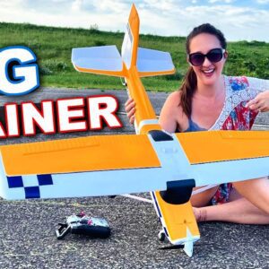 EASY FLIGHT Mode ACTIVATED!!! - UNDER $200 RC Trainer Plane - FMS Ranger 1220mm