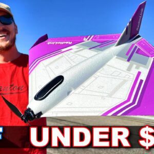 UFO Anyone Can Fly! - Radiolink D460 RC Airplane!