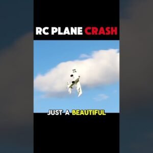 Pilot error or plane error? #planecrash #rc #rctoys #pilot #error #mistake #fail