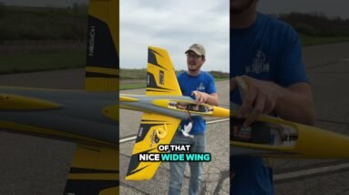 This thing can easily hit speeds of over 100mph. E-Flite Habu XS. #100mph #jet #rctoys #speed