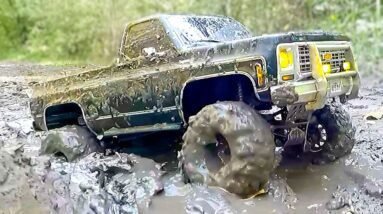 RC Rescue Mission! 😱 Saving Fish with RC Cars from Deep Mud