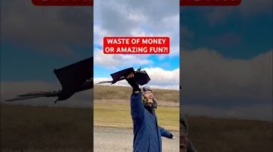 Was This A Waste Of Money Or Am I Making Amazing Memories!? Flying RC Toothless Dragon!